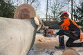 STIHL MS 661