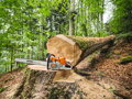 STIHL MS 881
